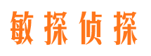 大渡口侦探公司